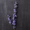 Wild Delphinium Spray by Ashland®